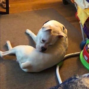 Meet your Posher, Don